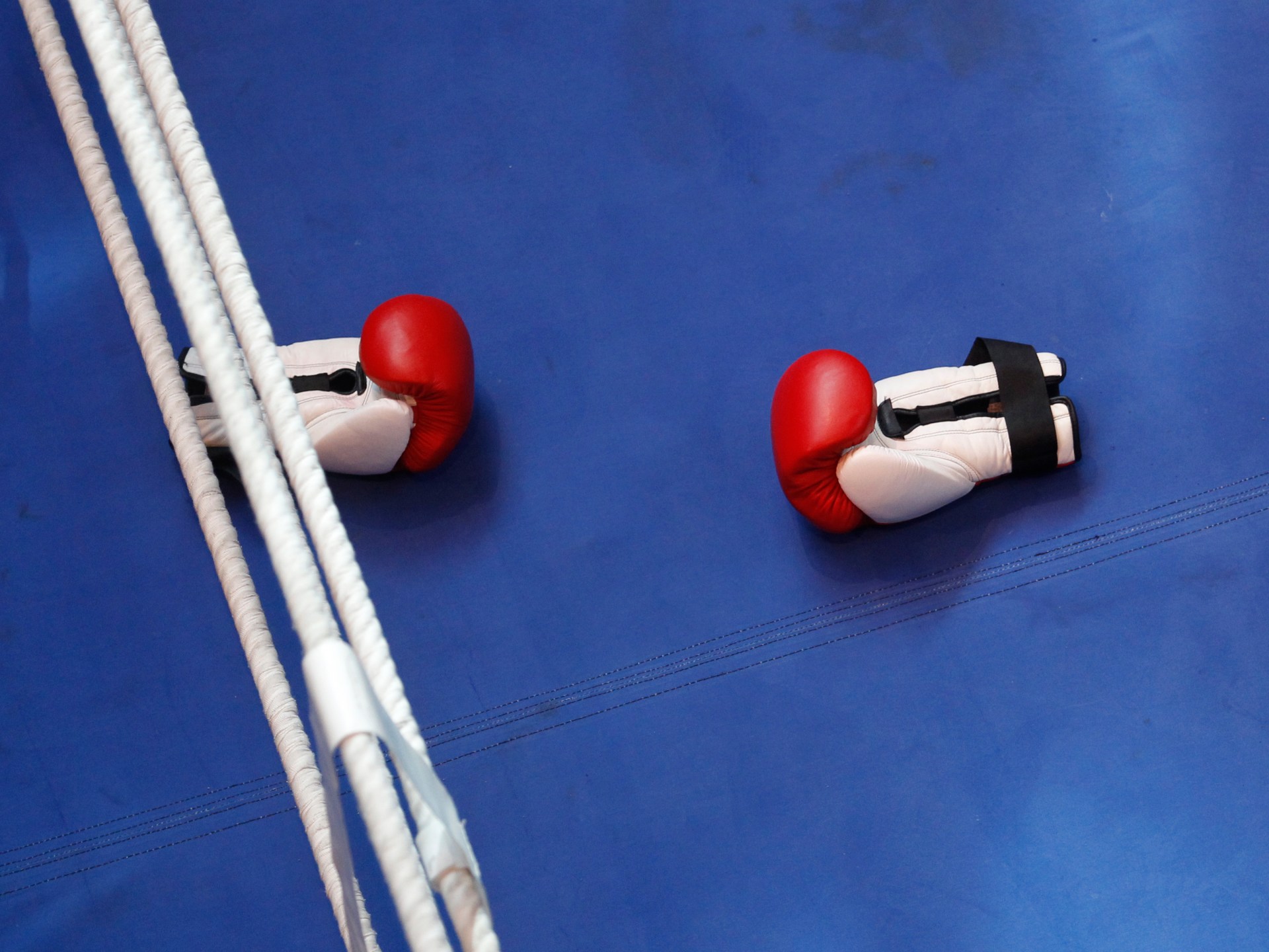 Boxeo de Japón para celebrar la reunión de emergencia después de las muertes de combatientes