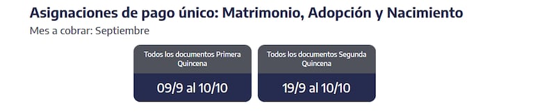 Pagos ANSES: quiénes cobran HOY martes 23 de septiembre 4 Cuándo se cobran las asignaciones de pago único en septiembre (Captura: ANSES)