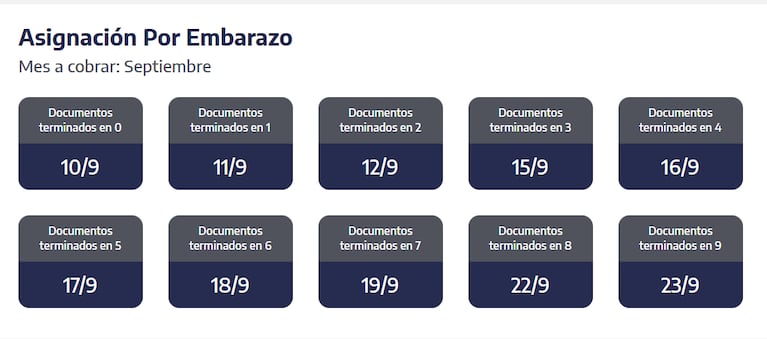 Pagos ANSES: quiénes cobran HOY martes 23 de septiembre 2 Cuándo se cobra la asignación por embarazo en septiembre. (Captura: ANSES)