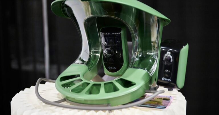 China ya está incorporando IA en todo, desde automóviles hasta bebederos para pájaros