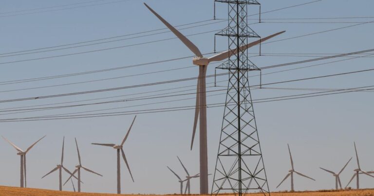 Las reservas de energía verde aumentan a pesar de las políticas de Trump