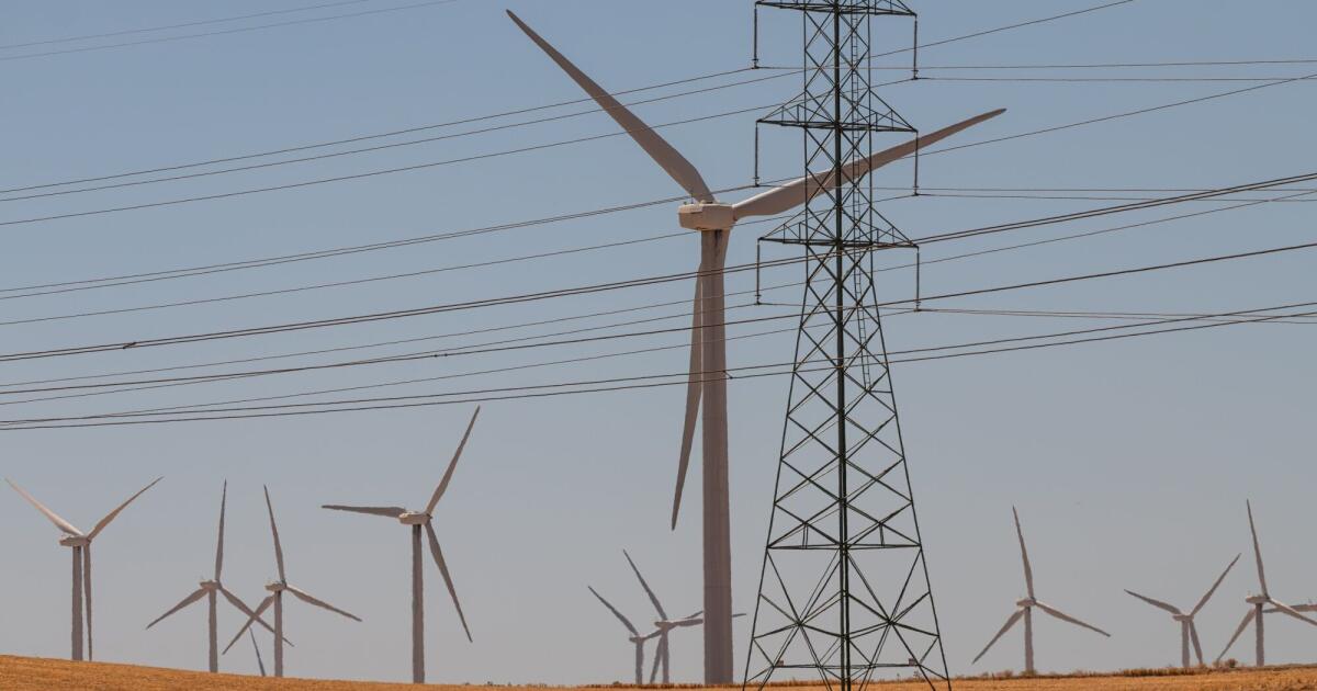 Las reservas de energía verde aumentan a pesar de las políticas de Trump