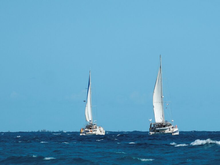 Estados Unidos confirma que los dos veleros con ayuda de México a Cuba llegaron sin novedad 10 Estados Unidos afirma que dos veleros que partieron de México a Cuba con ayuda llegaron “sanos y salvos”