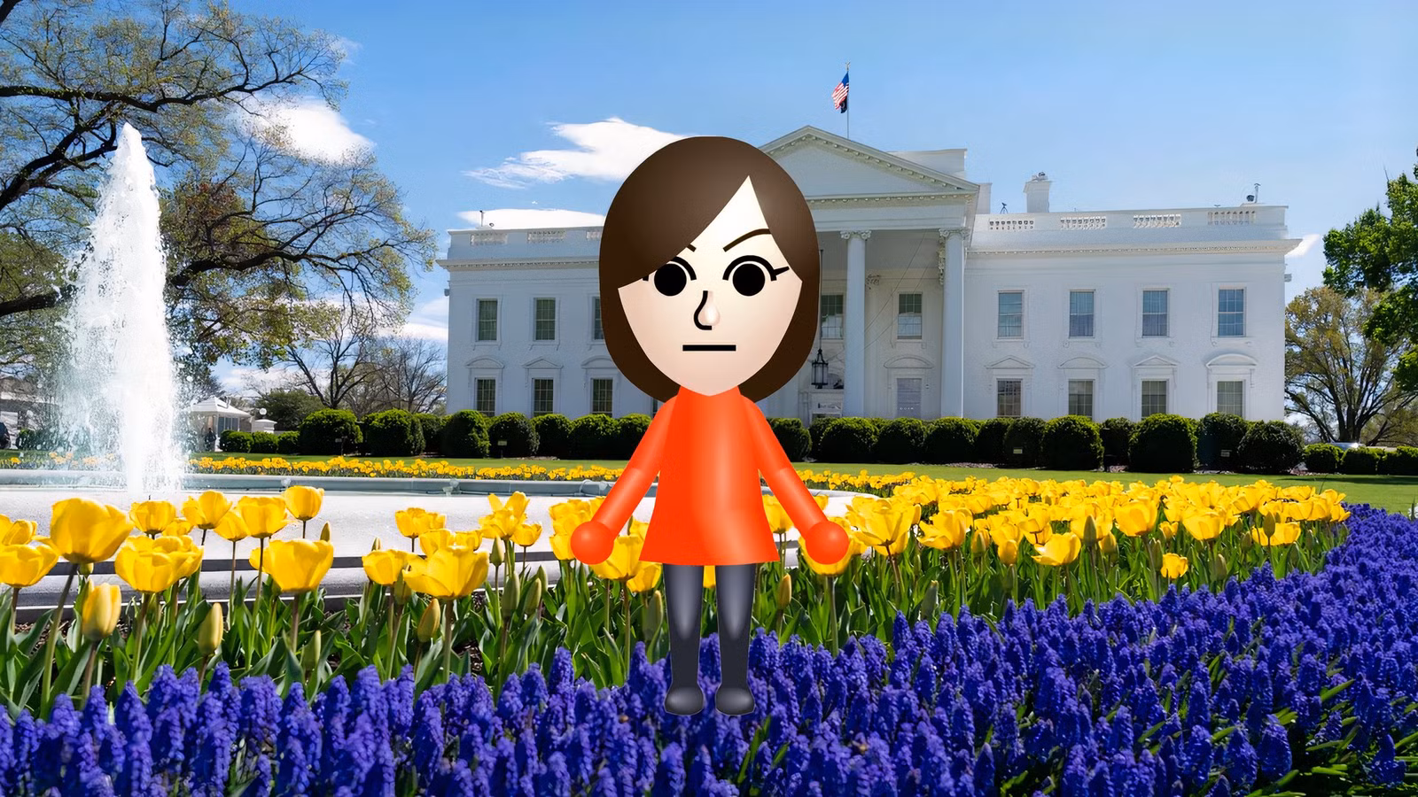 La Casa Blanca usa la Wii de Nintendo para difundir imágenes militares no clasificadas.