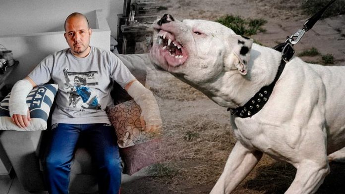 Córdoba: denuncian que el pitbull que mató a un nene tenía una cadena de 10 metros