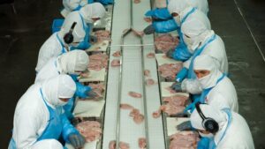Argentina reabre el mercado de Corea del Sur para la carne aviar