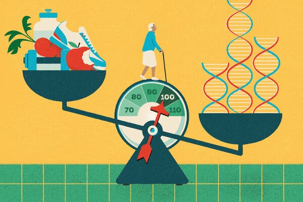Longevidad: la genética define solo el 25%, el resto lo marcamos nosotros