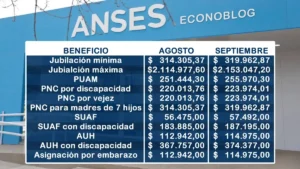 Jubilaciones ANSES en septiembre: cuánto cobran mínima, máxima, PUAM y PNC