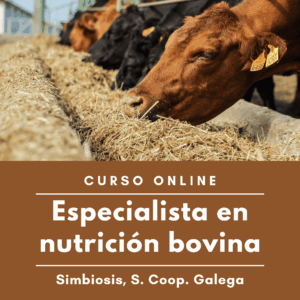 Capacitación sobre nutrición de bovinos: cómo participar