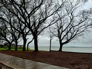 Fin de semana largo gris y con lluvias en AMBA: cuándo llega la ciclogénesis