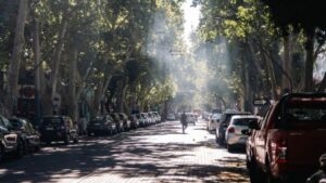 Zonda en Mendoza: ráfagas intensas, nevadas y alertas del SMN