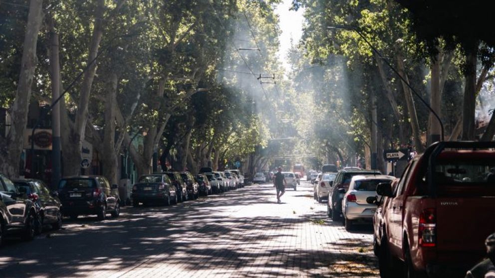 Zonda en Mendoza: ráfagas intensas, nevadas y alertas del SMN