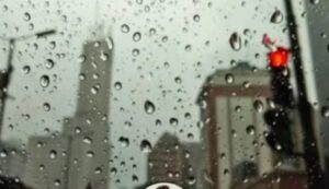 Clima en La Plata: sábado de buen tiempo y domingo con tormentas