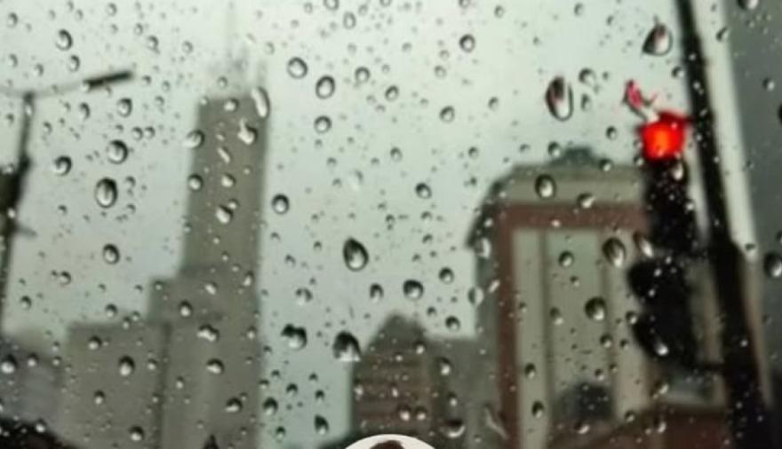 Clima en La Plata: sábado de buen tiempo y domingo con tormentas