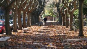 Clima en CABA: pronóstico para este sábado antes de las lluvias