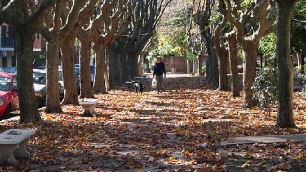 Clima en CABA: pronóstico para este sábado antes de las lluvias