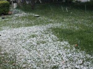 Alerta naranja por tormentas y granizo en Mendoza: las zonas afectadas